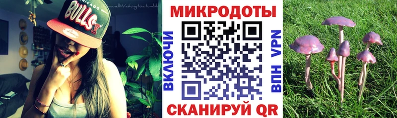 Псилоцибиновые грибы GOLDEN TEACHER  Алексеевка 