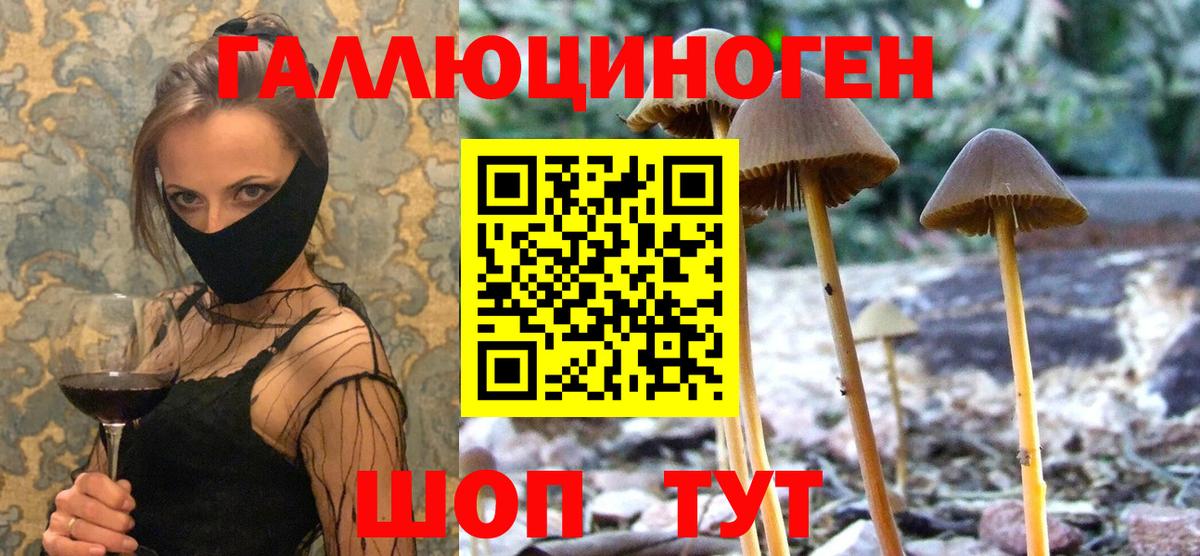 Галлюциногенные грибы Magic Shrooms Алексеевка