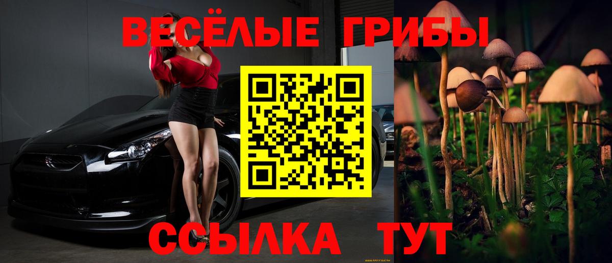 где можно купить наркотик  Псилоцибиновые грибы прущие грибы  Вход с VPN  Алексеевка 