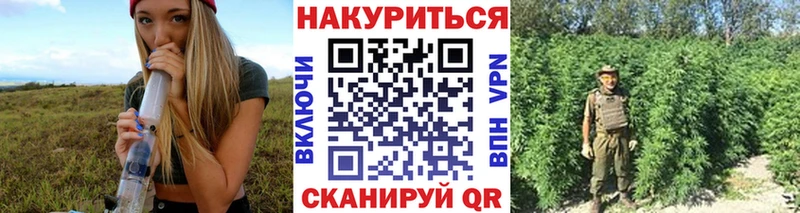 Бошки Шишки конопля  Алексеевка 